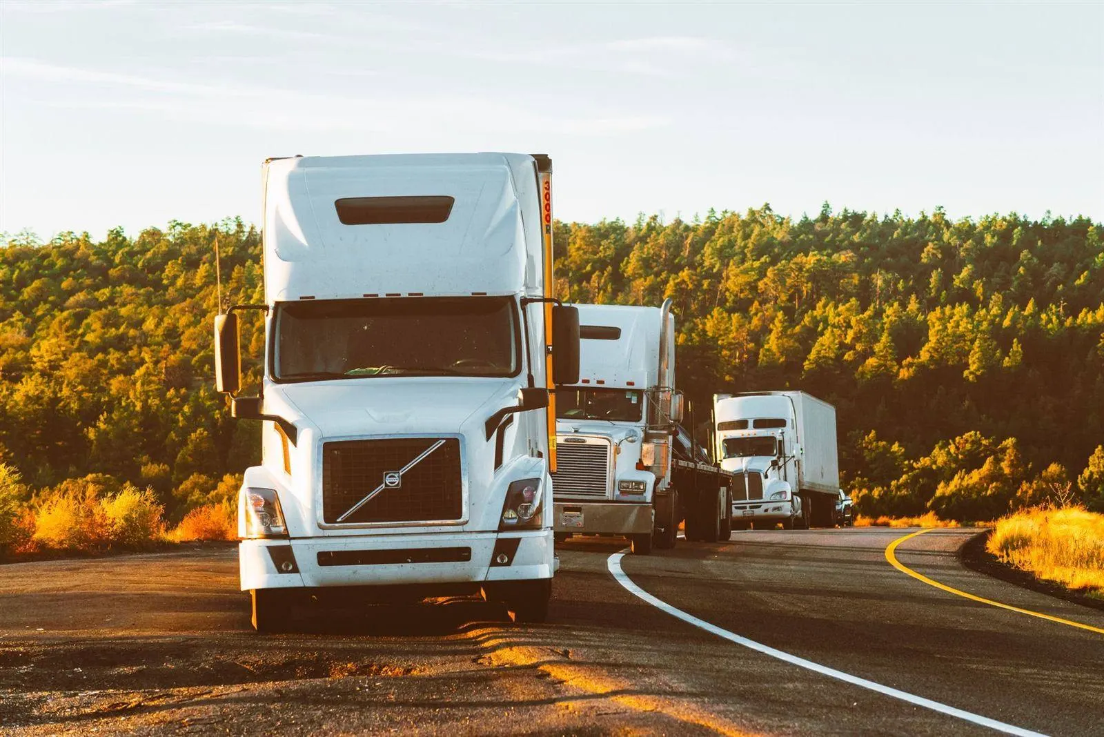 ZAFTYS transportation network and TranZfort marketplace